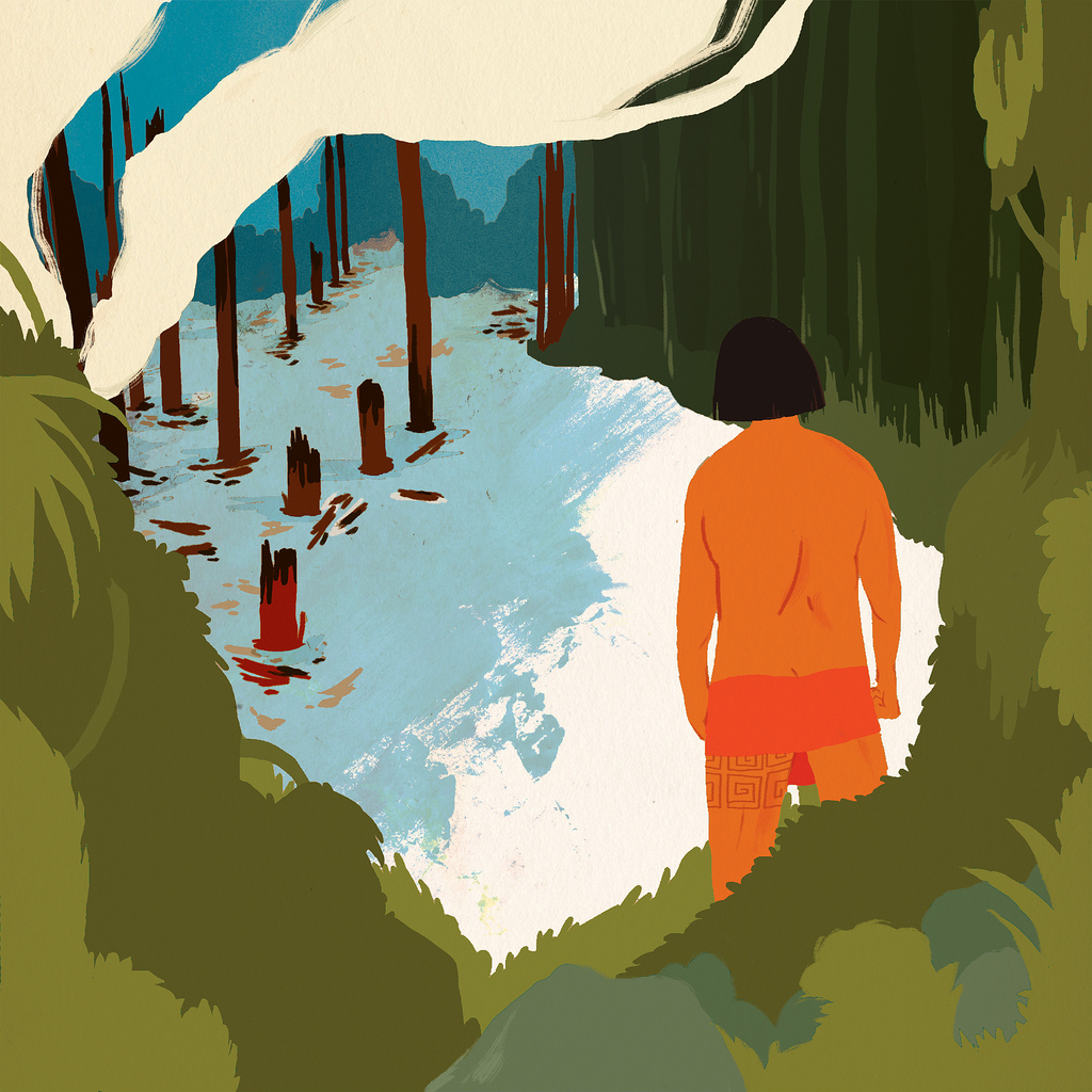 Deforestation, native, indigenous, native people, Aimee Fleck, illustration, forest